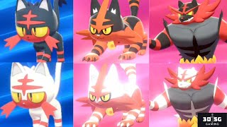 Obtaining IoA Alolan Litten Torracat amp Incineroar Normal amp Shiny Pokemon Sword  Shield [upl. by Dualc]