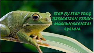 Frog Dissection Video By Akshaj Vedant Kingsley Gursidak [upl. by Annaerdna]