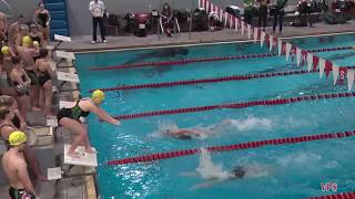 Vineland Swimming vs Schalick  Senior Night  11819 [upl. by Enahs379]