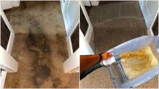 The Best Way To Clean Carpet [upl. by Parfitt982]