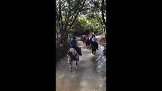 The Riding Academy at Benbrook Stables [upl. by Ver]