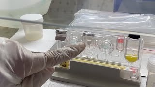 How to perform a RTPCR test  Actual Demonstration step by step of a Sputum sample  Explained easy [upl. by Ahselyt912]