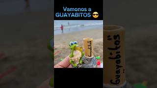 🏝Guayabitos 🇲🇽😎 playa lugaresparavisitar mexico guayabitos [upl. by Yffat795]