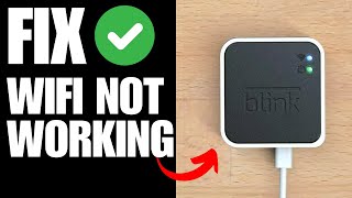 Blink Sync Module 2 Not Connecting To Wifi  How To Fix [upl. by Dennard976]