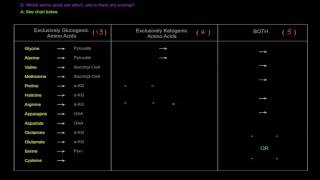 Amino Acid Oxidation Pathways Part 2 of 10  Glucogenic vs Ketogenic Amino Acids [upl. by Sera911]