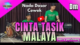 Cinta tasikmalaya karaoke  Harry parintang nada cewe Dm versi bajidor [upl. by Banyaz]