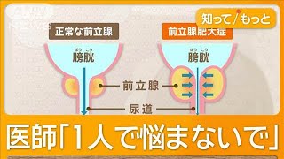 40歳以上「3人に1人」尿漏れ経験 “チョイ漏れ”男性増加 「仕事に集中できない」【知ってもっと】【グッド！モーニング】2024年11月22日 [upl. by Aveline]