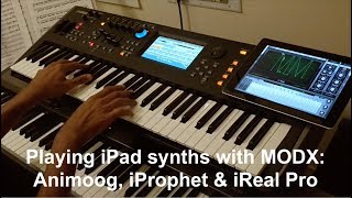 Using the MODX with the iPad Animoog  iProphet  iRealPro [upl. by Uba427]