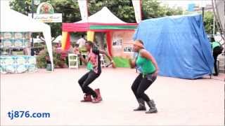 Jamaican Reggae Dancehall Routine  By Dance Xpressionz Part 2 [upl. by Murton]