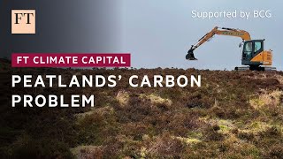 Carbon problem for damaged peatlands  FT Climate Capital [upl. by Arther]