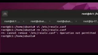 How to solve resolvconf in ubuntu  failed removing file etcresolvconf Operation not permitted [upl. by Eneroc847]