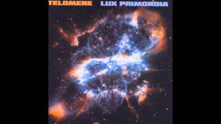 Telomere  Startides [upl. by Greyso]