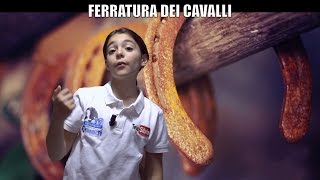 LA FERRATURA DEI CAVALLI  Silvia presenta lequitazione nr 10 [upl. by Ylrak]