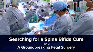 Searching for a Spina Bifida Cure Part 3  A Groundbreaking Fetal Surgery [upl. by Asen]