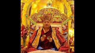 Shechen Rabzam Rinpoche said about to Guru Rinpoche༈ ༸རབ་འབྱམས་རིན་པོ་ཆེའི་གུ་རུ་སྐོར་གསུང་། [upl. by Gnah]