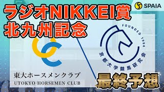 【ラジオNIKKEI賞・北九州記念 2024最終予想】東大HCの本命は強敵相手に善戦した実力馬！ 京大競馬研は3歳馬ピューロマジック本命 （東大・京大式） [upl. by Valonia610]