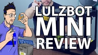 Lulzbot Mini 3D Printer Review [upl. by Ardied]