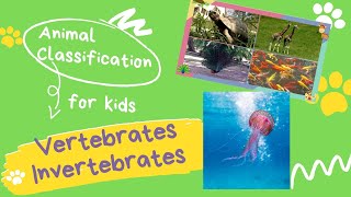 VERTEBRATES AND INVERTEBRATES for kids  Animal Classification for children [upl. by Ylrebmi]