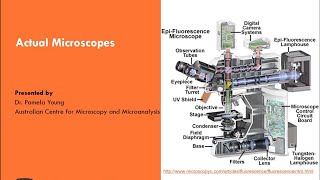 Intro to Light Microscopy 3 Actual Microscopes Part 3 – Advanced Microscopy Techniques [upl. by Anaujahs]