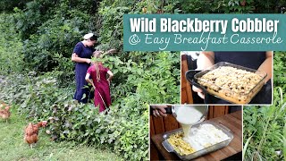 Irresistible Wild Blackberry Cobbler and Easy Breakfast Casserole [upl. by Erlond]