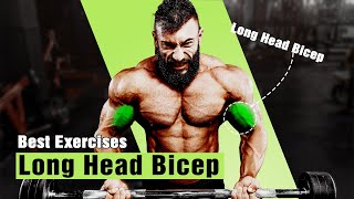 BEST LONG HEAD BICEP EXERCISES FOR MASSIVE ARMS [upl. by Aihsercal353]