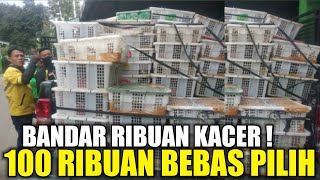 MELIMPAH RUAH  RIBUAN KACER DI AWAL TAHUN 2024 SEMUA DIJUAL MULAI 100 RIBUAN BEBAS PILIH [upl. by Notreb179]