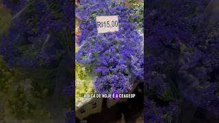 Dica de onde comprar flores plantas terra e etc decoração ceagesp flores [upl. by Kabab]