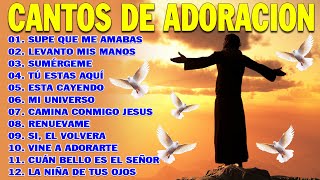 PODEROSAS CANCIONES CRISTIANAS PARA LIBERAR TU MENTE Y EL CORAZÓN 🕊️🕊️ SUPE QUE ME AMABAS 🙏🙏 [upl. by Tarazi]