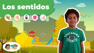 Descubriendo los sentidos del cuerpo humano Videos educativos para niños [upl. by Derraj]