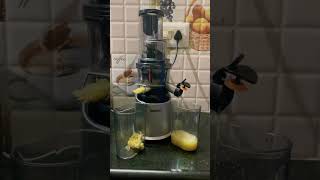 Borosil cold press slow Juicer You can make juices effortlessly Borosil coldpressjuicer juicer [upl. by Aneral]