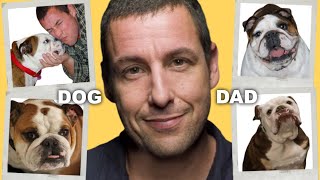 Why You’ll Adore Adam Sandler’s Bulldogs [upl. by Jacob]