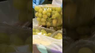 SMARTPAC active packaging for table grapes [upl. by Zingg]