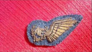 WW2 British RAF quotAEquot Half Wing Patch [upl. by Nehemiah672]