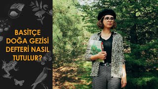 Basitçe Doğa Gezisi Defteri Nasıl Tutulur Nature Journal [upl. by Uyr588]