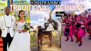 NAMIBIAN WEDDING VLOG Mr amp Mrs Shingenge’s oshiwambo traditional wedding vlog  celebrating love [upl. by Luciana]