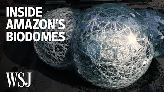 Inside Amazons Spheres the Biodome Office in Seattle  WSJ Open Office [upl. by Edin]