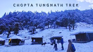 Chopta Tungnath Winter Trek  Highest Shiva Temple 🔱 Uttarakhand  Sukanya Roy [upl. by Etteve392]