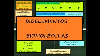 Bioelementos y Biomoléculas Principios Inmediatos BIOQUÍMICA ESTRICTURAL [upl. by Olethea]