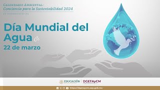 Calendario Ambiental Conciencia para la Sostenibilidad 2024 Día Mundial del Agua [upl. by Ala]