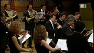 Bach Brandenburg Concerto 1 1movement [upl. by Cally]