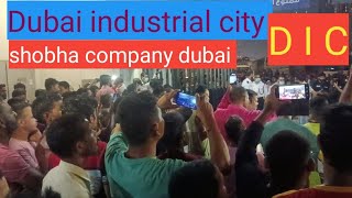 shobha company dubai industrial city dic dubailife dubaimall [upl. by Anivlis]