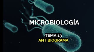 Antibiograma  Tema 13  Microbacter [upl. by Hui]