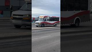 Arboc SOF 1302 On Route 134 To Crowfoot yapping transit viral bus travel shorts [upl. by Eetnahs]