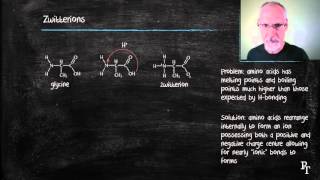 B21 Amino Acids [upl. by Sarajane]