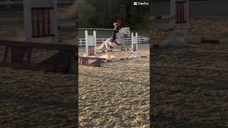 Training for another Boyd Martin clinic￼ [upl. by Ahsenot]