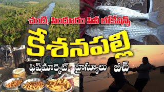 కేశనపల్లి  Kesanapalli village Tour  Fish Market  Beautiful Beach [upl. by Stacee784]