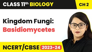 Kingdom Fungi Class  Basidiomycetes  Mushrooms  Class 11 Biology Chapter 2  NCERTCBSE [upl. by Ccasi]