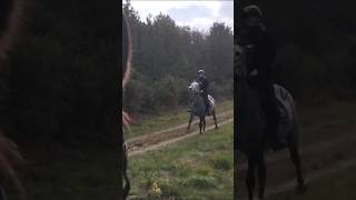 🔥🔥🔥 horse run riding horseriding [upl. by Aerbas]