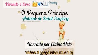 O Pequeno Príncipe de Antoine de SaintExupéry narrado por Elaine Melo vídeo 4  cap 12 e 13 [upl. by Rayle]