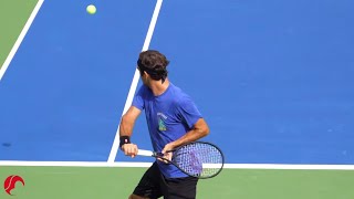 Roger Federer Backhand Slow Motion 2019  Court Level View Tennis One Handed Backhand Technique [upl. by Ijar845]